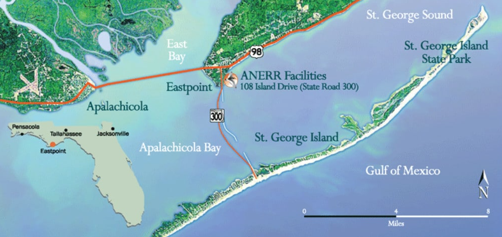 St. George Island, FL - map